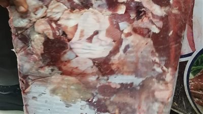 حملات على ثلاجات اللحوم المجمدة بالعامرية والمرور على مناشر القمح في الإسكندرية