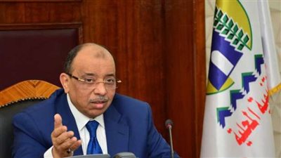 خالد قاسم: إلغاء إجازات قيادات الإدارة المحلية في عيد الفطر لهذه الأسباب | فيديو