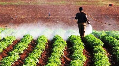 تخصيص أراض بالمجان أو بمقابل رمزي.. أبرز حوافز المشروعات الزراعية بالقانون