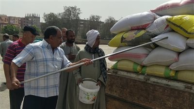 توريد 2129 طن قمح لشون وصوامع أسيوط.. وتيسيرات للمزارعين 