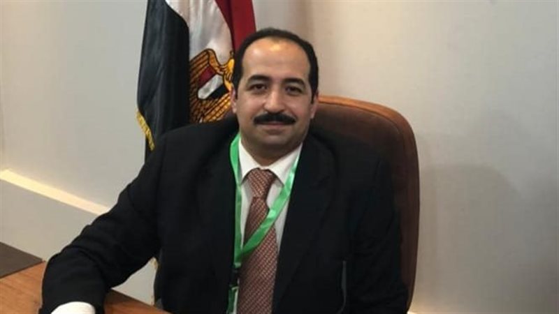 الدكتور محمد عفيفى