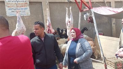 ضبط 1900 كيلو لحوم ودواجن غير صالحة للاستهلاك الآدمي في الجيزة | صور