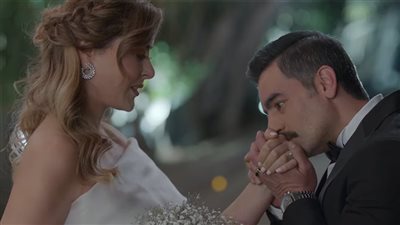 إعدام ماجد المصري وزواج هاني سلامة في الحلقة الأخيرة من «ملف سري» | فيديو