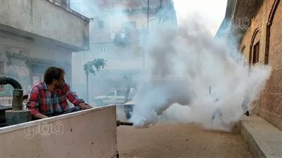 الناموس يهاجم أهالي الغربية.. والصحة تدفع بسيارات الرش|صور