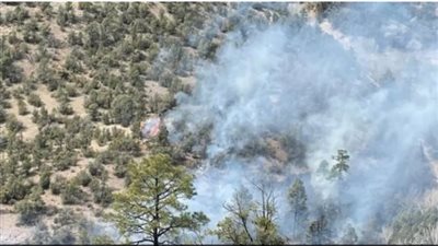 أكبر حريق غابات بأمريكا يجبر سكان قرى ولاية نيو مكسيكو على المغادرة