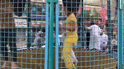 فرحة الأطفال بلعبة 