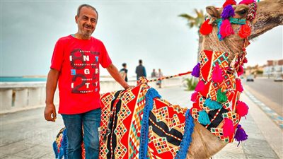أهو جانا العيد.. جمال وخيول على كورنيش مطروح احتفالا بعيد الفطر | صور