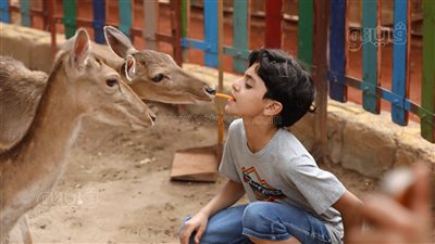 احتفال عيد الفطر في قرية الطفل 