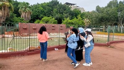 فسحة الغلابة.. إقبال المواطنين على حديقة الحيوان بالشرقية للاحتفال بالعيد|فيديو