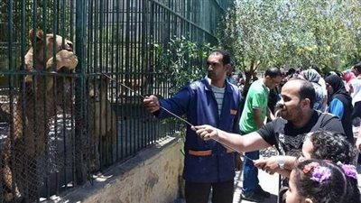 حديقة الحيوان بالإسكندرية تستقبل 8 آلاف زائر في أول أيام عيد الفطر