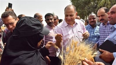 توريد 2862 طنا من الأقماح المحلية بشون وصوامع أسيوط