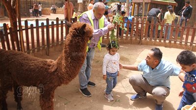 التذكرة بـ 20 جنيهًا..إقبال كبيرعلى قرية الطفل في حديقة الحيوان |فيديو 