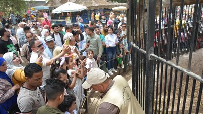 القرود والزرافة والخرتيت يجذبون زوار حديقة الحيوان | صور 