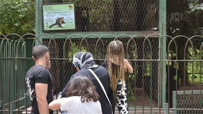 تقاليع الشباب في عيد الفطر المبارك|صور