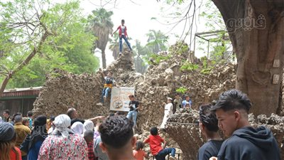 رغم التحذيرات.. الأطفال يتسلقون الجبلاية والأقفاص بحديقة الحيوانات| صور
