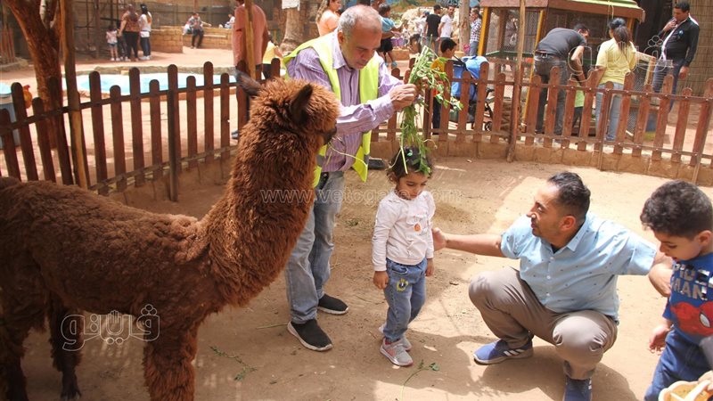 قرية الطفل 