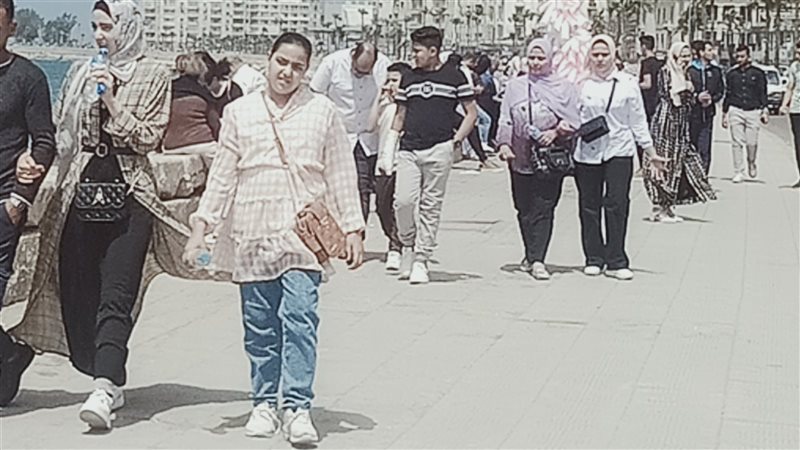 أهالى الإسكندرية