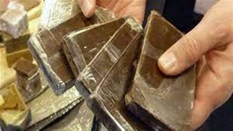 مخدر الحشيش 