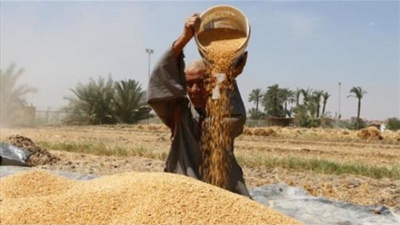 استئناف عمل لجان
