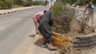 الجيزة ترفع أعمال نظافة طريق أسيوط الزراعي 