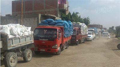 استئناف توريد الأقماح المحلية للشون والصوامع ببني سويف 