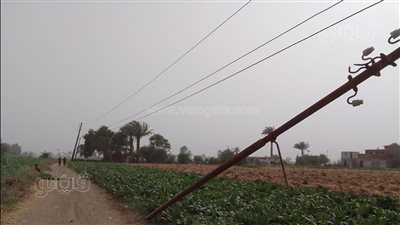 سقوط أعمدة إنارة سحبها جرار زراعي من أسلاك الكهرباء ببني سويف | صور
