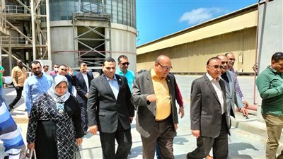 محافظ الإسكندرية ووكيل التموين في جولة على صوامع القمح | صور 