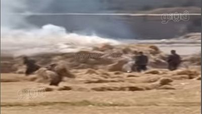 بسبب عقب سيجارة.. احتراق «جرن» قمح بالشرقية بدون خسائر بشرية| صور