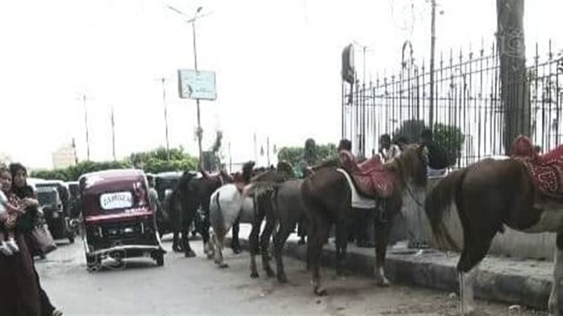 سور مجلس مدينة كفر