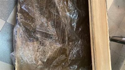 الأمن اللبناني يحبط عملية تهريب كمية من الحشيش إلى دولة أوروبية