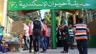 حديقة الحيوان بالإسكندرية: ٦٠ ألف زائر خلال أيام عيد الفطر المبارك