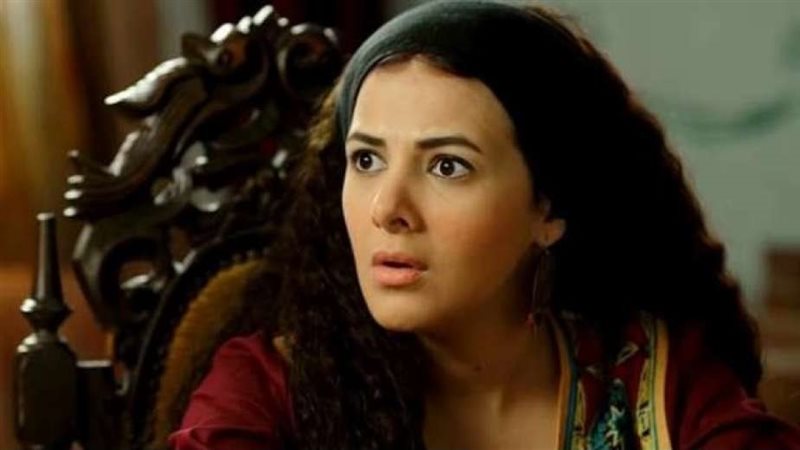 الفنانة دنيا سمير