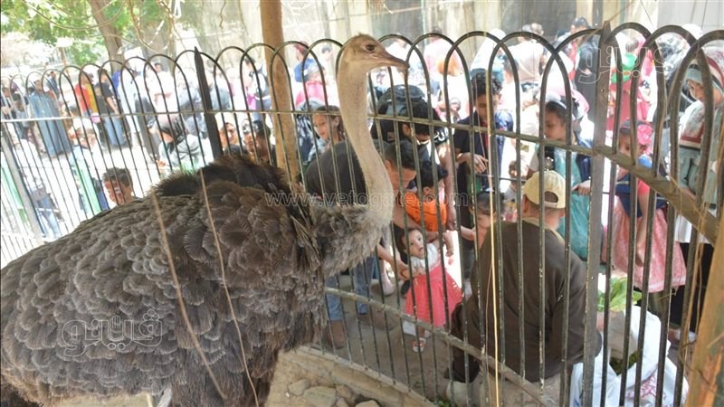 حديقة الحيوان 