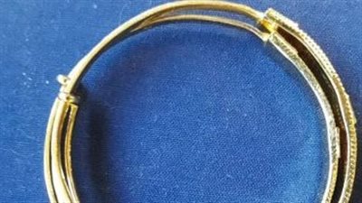 إدانة بريطاني لبيعه مجوهرات تحتوي على شعر من أفيال أفريقية مهددة بالانقراض