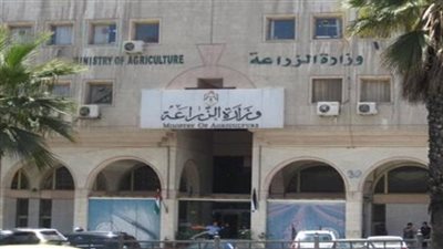 شغب في وزارة الزراعة.. الموظفون يمنعون رئيس حماية الأراضي من دخول مكتبه.. ووقف صرف الحوافز