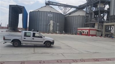 محافظ الإسماعيلية يتابع موسم حصاد القمح وتوريده للصوامع|صور