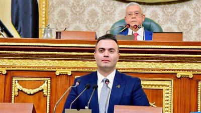 برلمانى يطالب الحكومة بخطة استثنائية لمواجهة تداعيات الأزمة الاقتصادية