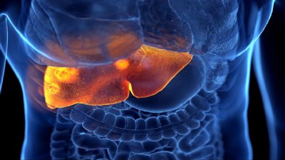 اكتشاف 95 حالة مصابة بالتهاب الكبد في 15 دولة.. وسببان لانتشاره بين الأطفال