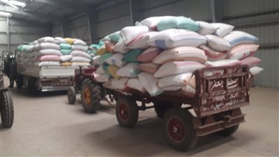 شون وصوامع المنوفية تستقبل 25 ألف طن قمح حتى الآن| صور