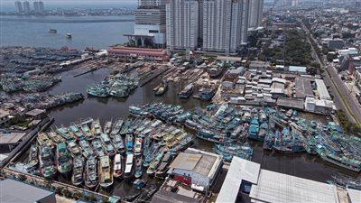 بعد قرارها بمنع تصديره للخارج.. إندونيسيا تحتجز سفينة زيت نخيل 