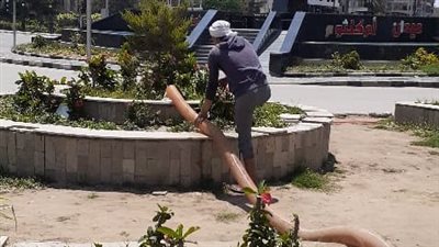 رفع 186 طن قمامة وأتربة من الشوارع والميادين الرئيسية بالمنصورة | صور