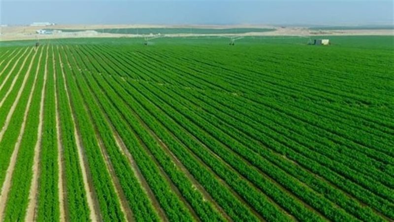 الدلتا الجديدة، فيتو