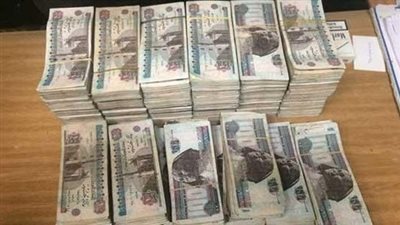 جمع من المواطنين نصف مليار جنيه.. القصة الكاملة عن 