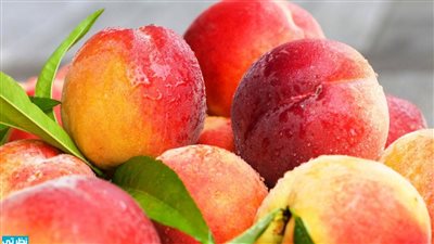 تفسير حلم أكل الخوخ في المنام وعلاقته بإهدار المال والتقصير في حق الزوجة 