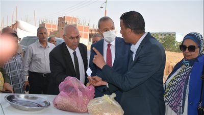 توريد 21 ألف طن قمح بالقليوبية