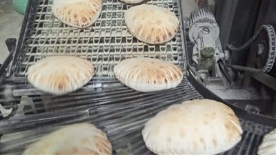 إحالة 81 محضرا بالمخالفات في مجال المخابز والأسواق للنيابة العامة في الدقهلية