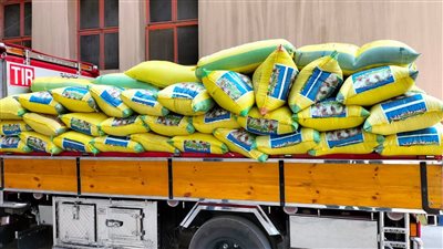 محافظ الإسكندرية: توريد 2267 طن قمح لصوامع المحافظة