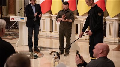 زيلينسكي يكّرم 