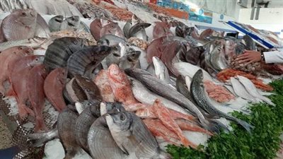 أسعار الأسماك اليوم 9-5-2022 في المنوفية
