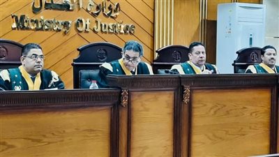 قرار جديد في محاكمة 29 متهما بقضية الهيكل الإداري للإخوان بالنزهة